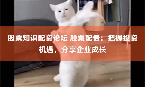 股票知识配资论坛 股票配债：把握投资机遇，分享企业成长