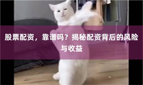 股票配资，靠谱吗？揭秘配资背后的风险与收益