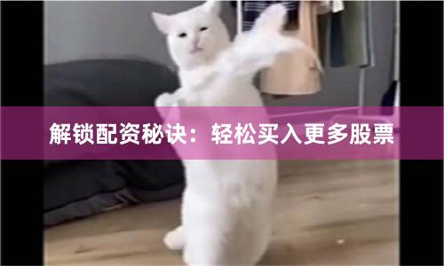 解锁配资秘诀：轻松买入更多股票