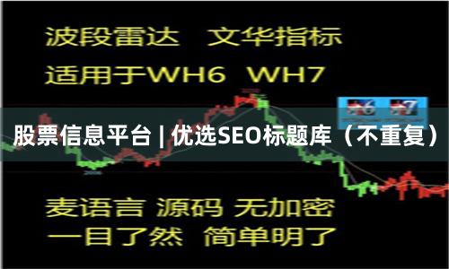 股票信息平台 | 优选SEO标题库（不重复）