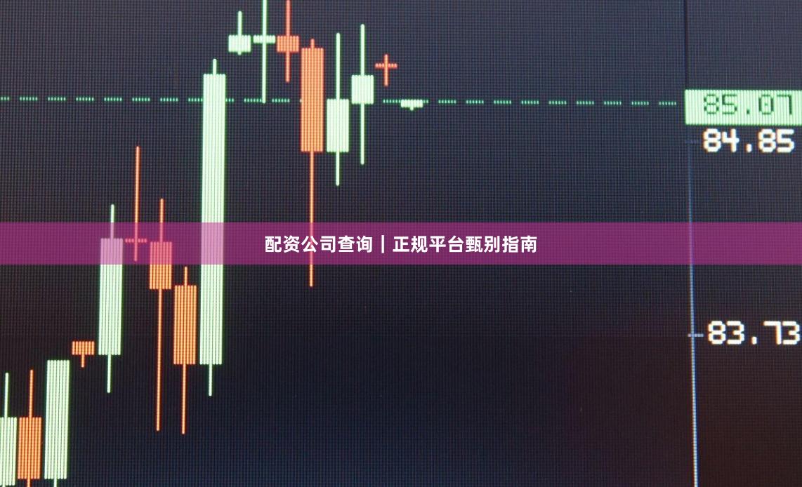 配资公司查询｜正规平台甄别指南